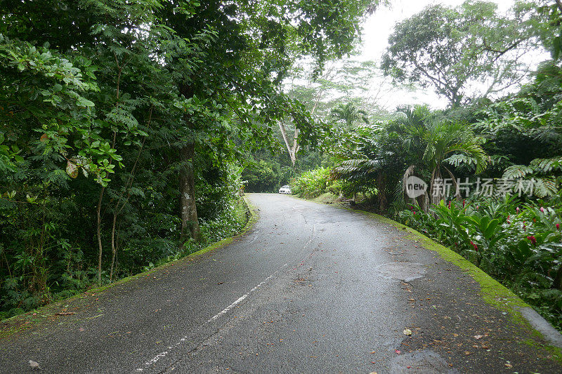 塞舌尔Morne Seychelles国家公园